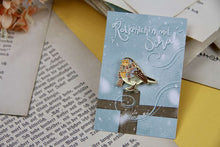 Lade das Bild in den Galerie-Viewer, Emaille Pin - Rotkehlchen mit Schal - Geschenk für Vogelfreunde - Adventskalender befüllen