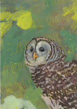Lade das Bild in den Galerie-Viewer, Print - Streifenkauz