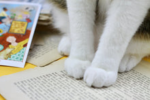 Lade das Bild in den Galerie-Viewer, Postkarte - Du bist genug - Erinnerung - Self Love - Achtsamkeit