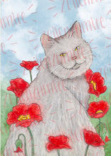 Lade das Bild in den Galerie-Viewer, Print - Katze im Mohnblumenfeld - Handgemalte Illustration