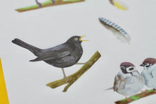 Lade das Bild in den Galerie-Viewer, Stickerbogen - Birds on Branches - Vögel - Bullet Journal