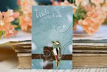 Lade das Bild in den Galerie-Viewer, Emaille Pin - Buntspecht mit Schal - Glitzer und Normale Variante