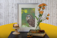 Lade das Bild in den Galerie-Viewer, Print - Streifenkauz