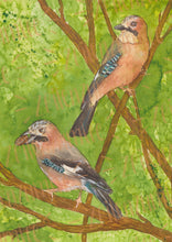 Lade das Bild in den Galerie-Viewer, Print - Eichelhäher - Handgemalte Illustration