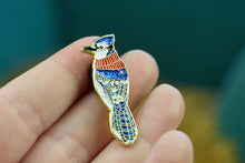 Lade das Bild in den Galerie-Viewer, Emaille Pin - Blauhäher mit Schal - Glitzer und Normale Variante