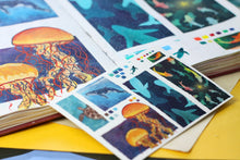 Lade das Bild in den Galerie-Viewer, Postkarte - Tiere im Ozean - Colorful Ocean - Gouache Illustration - Sketchbook Collection