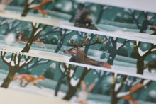 Lade das Bild in den Galerie-Viewer, Washi Tape - Winter Forest - 10mx25mm - Eigene Illustrationen