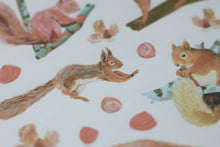 Lade das Bild in den Galerie-Viewer, Stickerbogen - Eichhörnchen - Waldtiere - Bullet Journal