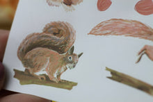Lade das Bild in den Galerie-Viewer, Stickerbogen - Eichhörnchen - Waldtiere - Bullet Journal