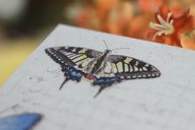 Lade das Bild in den Galerie-Viewer, Notizblock - Schmetterlinge - Briefpapier - DIN A5 - 50 Seiten - kariert