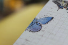 Lade das Bild in den Galerie-Viewer, Notizblock - Schmetterlinge - Briefpapier - DIN A5 - 50 Seiten - kariert
