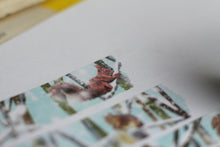 Lade das Bild in den Galerie-Viewer, Washi Tape - Eichhörnchen im Schnee - Eigene Illustrationen
