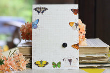 Lade das Bild in den Galerie-Viewer, Karte mit Emaille Pin - Minipin - Schmetterling - You are the best - Aurorafalter - Grußkarte mit Pin - Geschenkidee