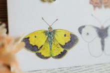 Lade das Bild in den Galerie-Viewer, Karte mit Emaille Pin - Minipin - Schmetterling - You are the best - Aurorafalter - Grußkarte mit Pin - Geschenkidee