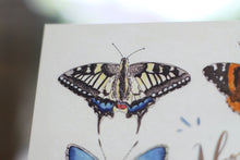 Lade das Bild in den Galerie-Viewer, Karte mit Emaille Pin - Minipin - Schmetterling - You are the best - Aurorafalter - Grußkarte mit Pin - Geschenkidee