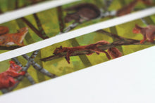 Lade das Bild in den Galerie-Viewer, Washi Tape - Eichhörnchen im Sommer - Eigene Illustrationen