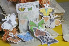 Lade das Bild in den Galerie-Viewer, Geschenkanhänger - Anhänger - Schmetterlinge in Aquarell - Geschenke verpacken - Eigene Illustration