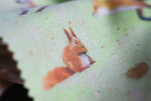 Lade das Bild in den Galerie-Viewer, Reinigungstuch - Waldtiere - Microfasertuch für Brillen, Bildschirme und Objektive - Fuchs, Eichhörnchen, Eule - Eigene Illustration