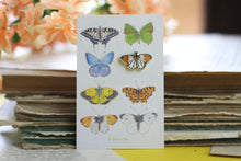 Lade das Bild in den Galerie-Viewer, Emaille Pin - Minipin - Schmetterling - Aurorafalter