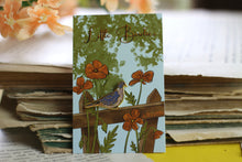 Lade das Bild in den Galerie-Viewer, Emaille Pin - Minipin - Taube - Ringeltaube - Little Birdies Collection