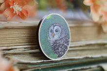 Lade das Bild in den Galerie-Viewer, Holz Pin - Streifenkauz - Waldtier / Vogel Anstecknadel - Brosche - Eigene Illustration