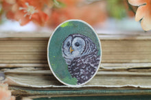 Lade das Bild in den Galerie-Viewer, Holz Pin - Streifenkauz - Waldtier / Vogel Anstecknadel - Brosche - Eigene Illustration
