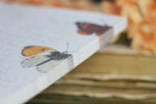 Lade das Bild in den Galerie-Viewer, Notizblock - Schmetterlinge - Briefpapier - DIN A5 - 50 Seiten - kariert