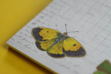 Lade das Bild in den Galerie-Viewer, Notizblock - Schmetterlinge - Briefpapier - DIN A5 - 50 Seiten - kariert
