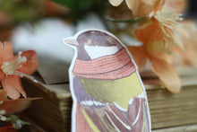 Lade das Bild in den Galerie-Viewer, Vinyl Sticker - Kohlmeise mit Schal - Gartenvögel - Handgemalte Illustration