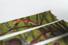 Lade das Bild in den Galerie-Viewer, Washi Tape - Eichhörnchen im Sommer - Eigene Illustrationen