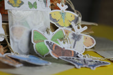 Lade das Bild in den Galerie-Viewer, Geschenkanhänger - Anhänger - Schmetterlinge in Aquarell - Geschenke verpacken - Eigene Illustration