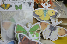 Lade das Bild in den Galerie-Viewer, Geschenkanhänger - Anhänger - Schmetterlinge in Aquarell - Geschenke verpacken - Eigene Illustration