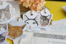 Lade das Bild in den Galerie-Viewer, Geschenkanhänger - My favorite cats - Katzen Illustrationen - Geschenke verpacken - Eigene Illustration