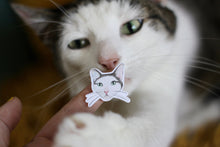 Lade das Bild in den Galerie-Viewer, Stickerbogen - Meine liebsten Katzen - Katzenkopf illustrationen - Bullet Journal - Eigene Illustrationen