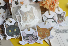 Lade das Bild in den Galerie-Viewer, Geschenkanhänger - My favorite cats - Katzen Illustrationen - Geschenke verpacken - Eigene Illustration