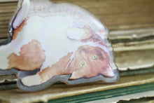 Lade das Bild in den Galerie-Viewer, B-Ware - Kühlschrankmagnet - Liegende Katze - Eigene Illustration - Fehlproduktion