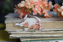 Lade das Bild in den Galerie-Viewer, B-Ware - Kühlschrankmagnet - Liegende Katze - Eigene Illustration - Fehlproduktion