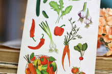 Lade das Bild in den Galerie-Viewer, Postkarte - Gemüse - Tomaten, Gurken, Knoblauch und mehr - Handgemalte Illustration