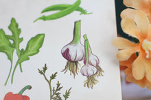 Lade das Bild in den Galerie-Viewer, Postkarte - Gemüse - Tomaten, Gurken, Knoblauch und mehr - Handgemalte Illustration