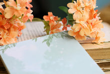 Lade das Bild in den Galerie-Viewer, Notizblock - Waschbär - A6 - 50 Seiten - Handgemalte Illustration