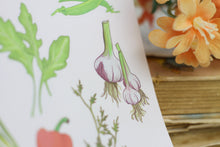 Lade das Bild in den Galerie-Viewer, Stickerbogen - Gemüse - Veggies - Tomaten, Gurke, Radieschen, Knoblauch - Bullet Journal - Eigene Illustrationen