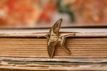 Lade das Bild in den Galerie-Viewer, Emaille Pin - Schwalbe - Special Edition - Filler Pin