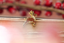 Lade das Bild in den Galerie-Viewer, Emaille Pin - Minipin - Rentier - Weihnachten - Adventskalender befüllen