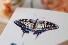 Lade das Bild in den Galerie-Viewer, Klappkarte - Schmetterlinge Tagfalter - Vielen Dank - Eigene Illustration - Mit Umschlag