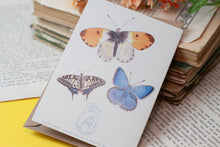 Lade das Bild in den Galerie-Viewer, Klappkarte - Schmetterlinge Tagfalter - Vielen Dank - Eigene Illustration - Mit Umschlag