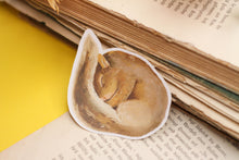 Lade das Bild in den Galerie-Viewer, Vinyl Sticker - Eichhörnchen schlafend - Handgemalte Illustration