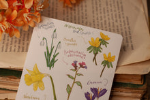 Lade das Bild in den Galerie-Viewer, Stickerbogen - Blumen im Frühling - Schneeglöckchen, Krokusse, Osterglocken - Bullet Journal - Eigene Illustrationen