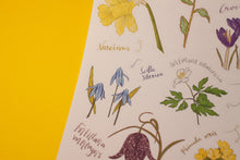 Lade das Bild in den Galerie-Viewer, Stickerbogen - Blumen im Frühling - Schneeglöckchen, Krokusse, Osterglocken - Bullet Journal - Eigene Illustrationen