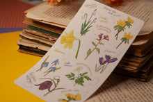 Lade das Bild in den Galerie-Viewer, Stickerbogen - Blumen im Frühling - Schneeglöckchen, Krokusse, Osterglocken - Bullet Journal - Eigene Illustrationen