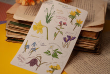 Lade das Bild in den Galerie-Viewer, Stickerbogen - Blumen im Frühling - Schneeglöckchen, Krokusse, Osterglocken - Bullet Journal - Eigene Illustrationen